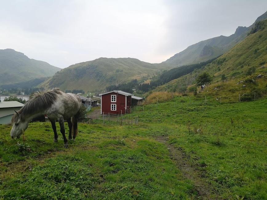Glamping Lofoten Hotel Kongsjorda ภายนอก รูปภาพ