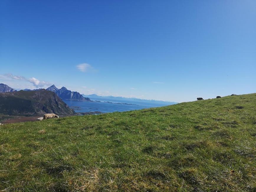 Glamping Lofoten Hotel Kongsjorda ภายนอก รูปภาพ